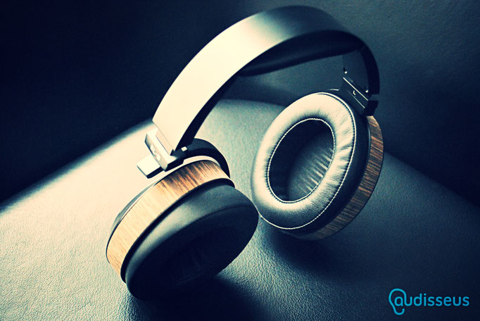Audeze EL-8 / Praxistest auf www.audisseus.de / Foto: Fritz I. Schwertfeger / www.audisseus.de