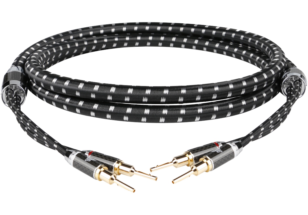 Boaacoustic Evolution BLACK.sonic-13 / Evolution BLACK.power-16 / Test auf www.audisseus.de / Foto: Boaacoustic 